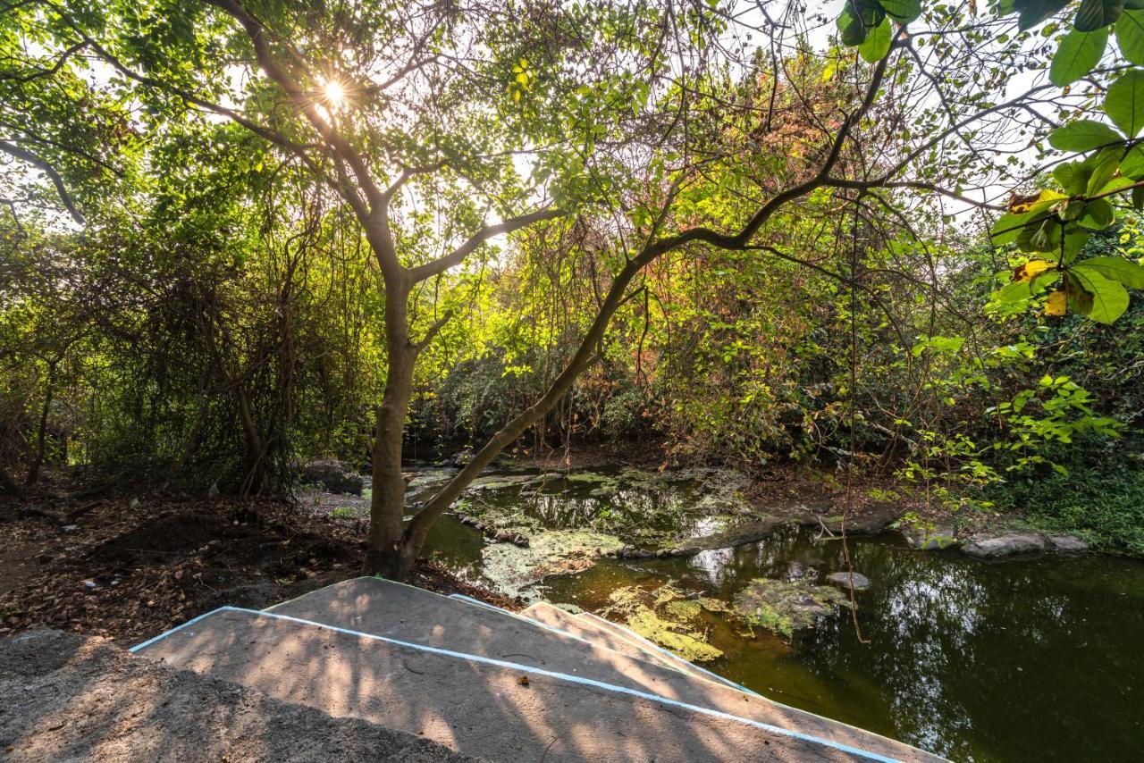 Saffronstays Chikoo Wadi- 3Bdr Pet-Friendly Villa With Pool In Boisar Bagian luar foto